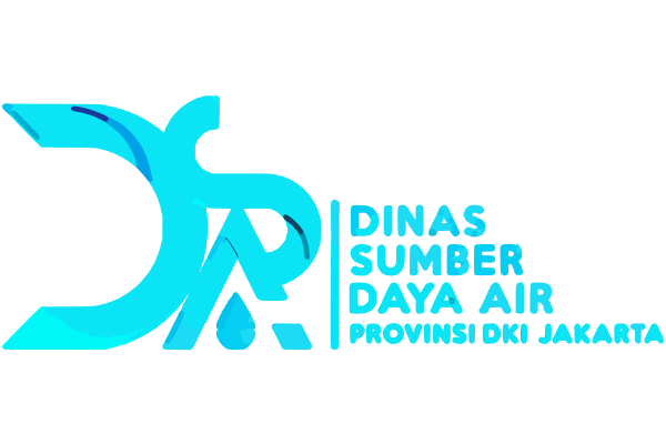 icon dsda