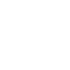Icon Property